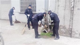 新狮街道爆料事件最新,揭秘背后真相与影响